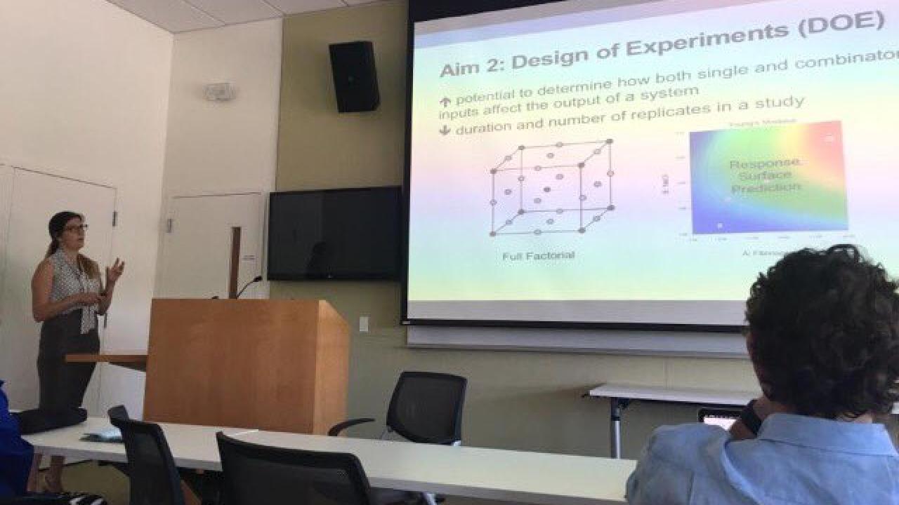 Evelyn c murphy phd dissertation
