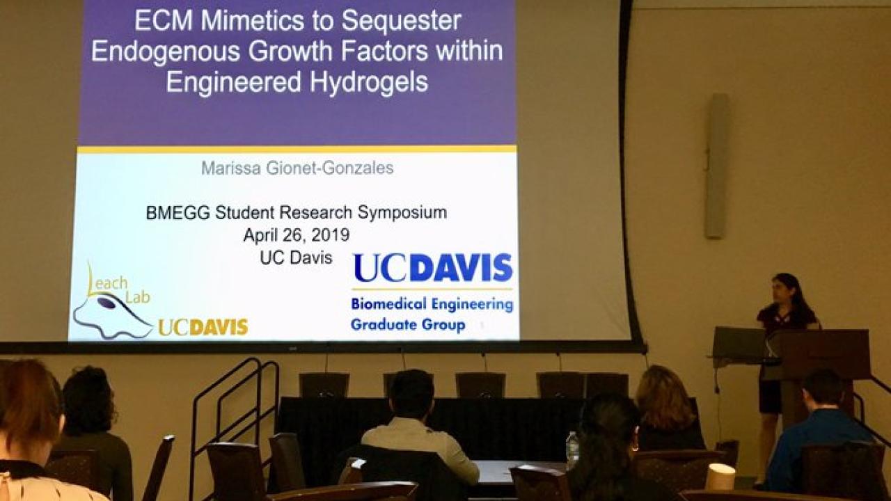 Marissa presentation at 2019 BMEGG Symposium